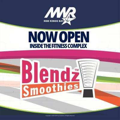 Blendz_open(400 x 400 px).jpg